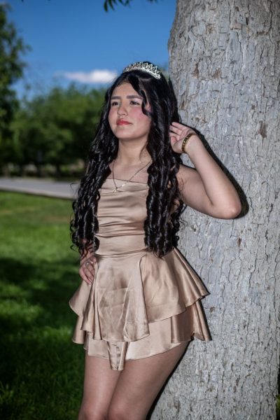 Aime Treviño 25074